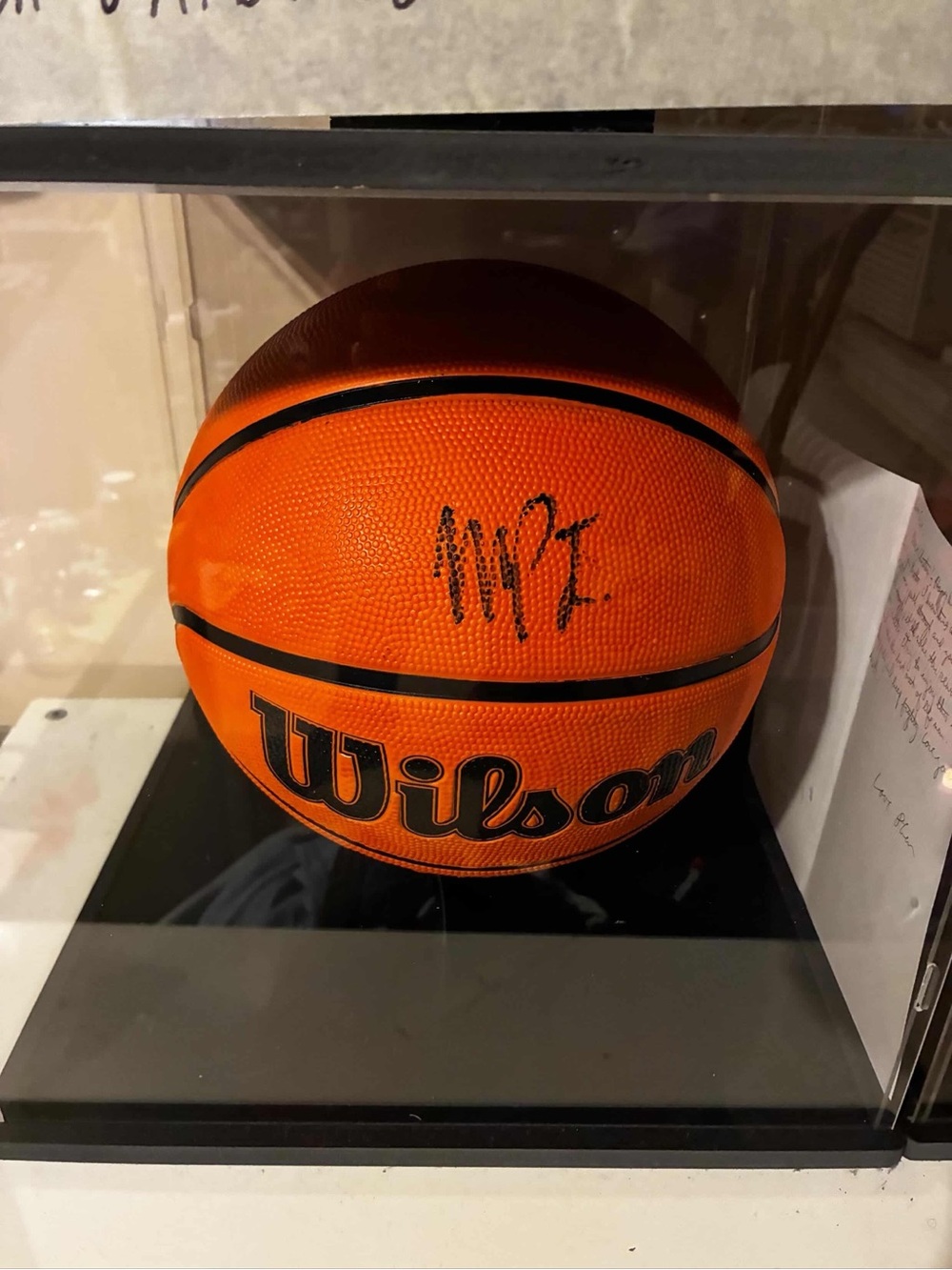 Brooklyn Nets Michael Poster Jr. Autographed Ball VIDEO ATTACHED OF HIM SIGNING